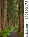 The approach to the inner sanctuary of Togakushi Shrine and the lush green cedar trees. 140800178