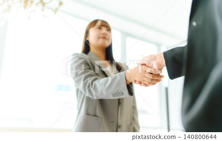 A young woman shaking hands in a business setting. A young woman shaking hands in a business setting. 140800644