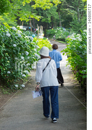 一名女子在群馬縣澀川市遊覽大野池繡球公園。 一名女子在群馬縣澀川市遊覽大野池繡球公園。 140800717