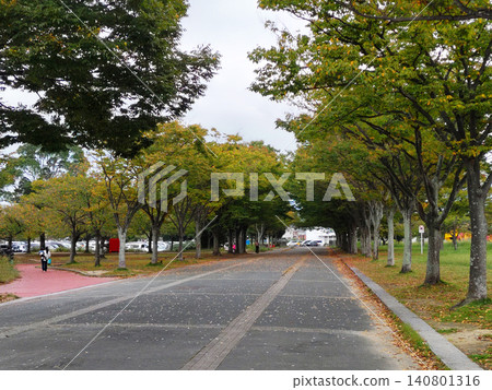 A running path through a tunnel of trees in a park in early autumn. A running path through a tunnel of trees in a park in early autumn. 140801316