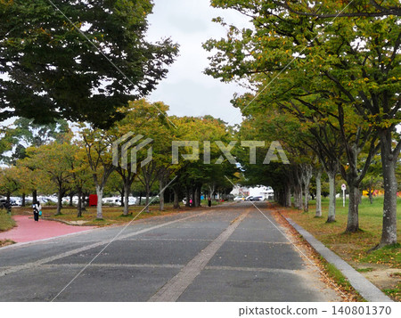 初秋時節，公園裡一條穿過樹蔭隧道的跑步小徑（插畫風格） 140801370