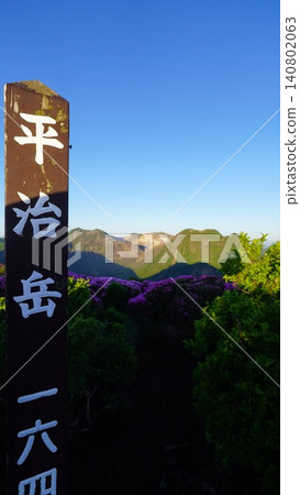 九重平寺山上盛開的杜鵑花(Rhododendron kiusianum)。 九重平寺山上盛開的杜鵑花(Rhododendron kiusianum)。 140802063
