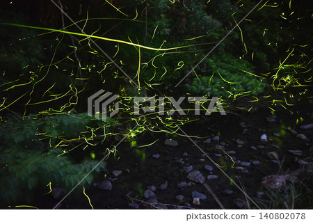 Dancing fireflies Dancing fireflies 140802078