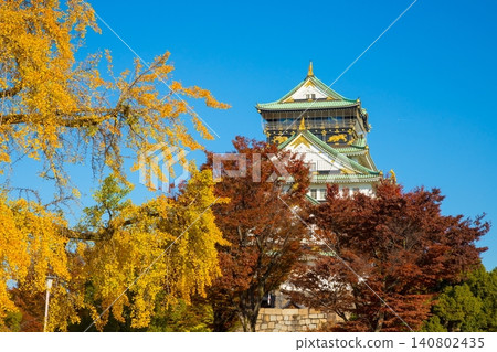 Osaka Castle Autumn Leaves 3 Osaka Castle Autumn Leaves 3 140802435