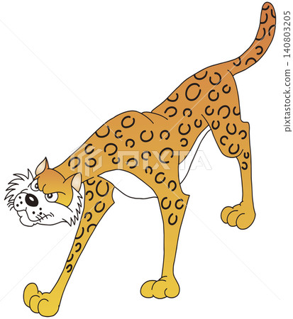 Hand-drawn animal illustration ☆ Leopard Hand-drawn animal illustration ☆ Leopard 140803205