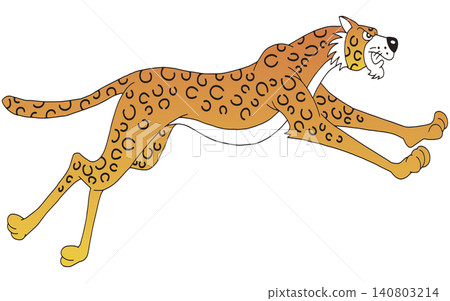 Hand-drawn animal illustration ☆ Leopard Hand-drawn animal illustration ☆ Leopard 140803214