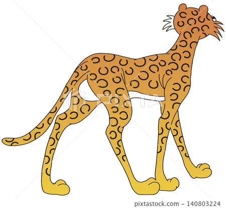 手繪動物插畫 ☆ 豹子 手繪動物插畫 ☆ 豹子 140803224