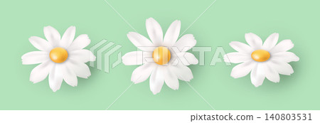 Three daisies on a green background. White spring and summer flowers. 140803531