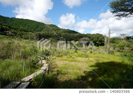 Ashige Marshland 40, Toyohashi City, Aichi Prefecture, July 2025 Ashige Marshland 40, Toyohashi City, Aichi Prefecture, July 2025 140803566