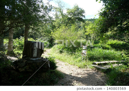 Ashige Marshland 2, Toyohashi City, Aichi Prefecture, July 2025 Ashige Marshland 2, Toyohashi City, Aichi Prefecture, July 2025 140803569