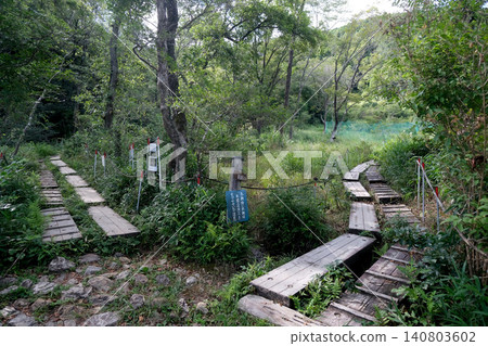 Ashige Marshland 35, Toyohashi City, Aichi Prefecture, July 2025 Ashige Marshland 35, Toyohashi City, Aichi Prefecture, July 2025 140803602