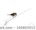 A Red-backed Shrike perched on a branch 140803913