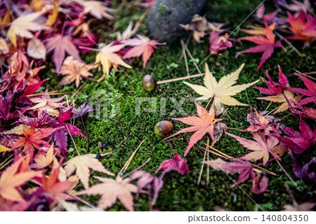 落在青苔的秋葉 落在青苔的秋葉 140804350