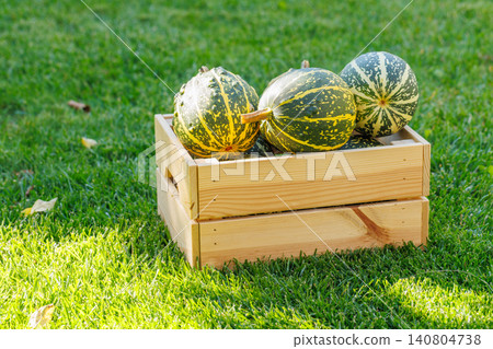 Various pumpkins in a wooden box on sunny green grass, autumn harvest scene Various pumpkins in a wooden box on sunny green grass, autumn harvest scene 140804738