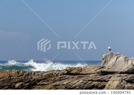 Rocky ocean shore in South Africa 140804791