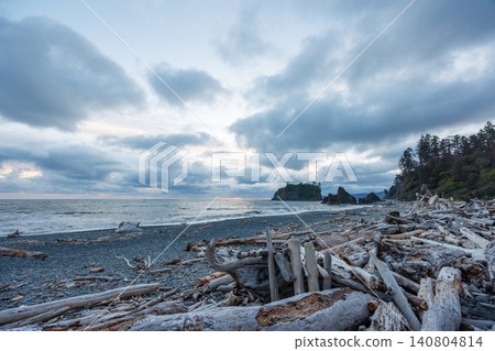 Pacific Ocean coast near Olympic National Park 140804814