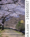Scenery with cherry blossoms Scenery with cherry blossoms 140805007