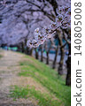 Scenery with cherry blossoms Scenery with cherry blossoms 140805008