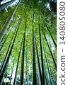 Bamboo grove that I looked up Bamboo grove that I looked up 140805080