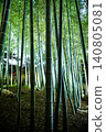 Scenery with bamboo grove Scenery with bamboo grove 140805081
