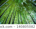 I look up at the bamboo grove I look up at the bamboo grove 140805082