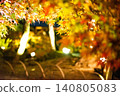 Autumn leaves lighted up Autumn leaves lighted up 140805083