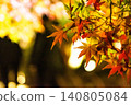 Autumn leaves lighted up Autumn leaves lighted up 140805084