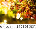 Shining autumn leaves Shining autumn leaves 140805085