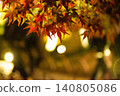 Autumn leaves lighted up Autumn leaves lighted up 140805086