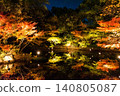 Autumn leaves lighted up Autumn leaves lighted up 140805087