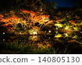 Autumn leaves lighted up Autumn leaves lighted up 140805130