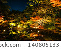 Autumn leaves lighted up Autumn leaves lighted up 140805133
