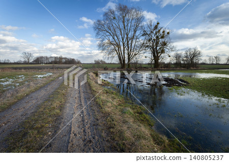 Country Road Through Meadow with Trees and Water Country Road Through Meadow with Trees and Water 140805237