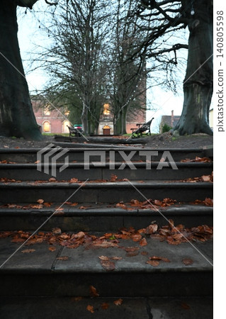 Stairs covered with fallen leaves Stairs covered with fallen leaves 140805598