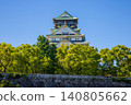大阪城鮮綠 140805662