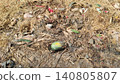 Spoiled watermelon on garbage pile near Karachi fruit market 140805807