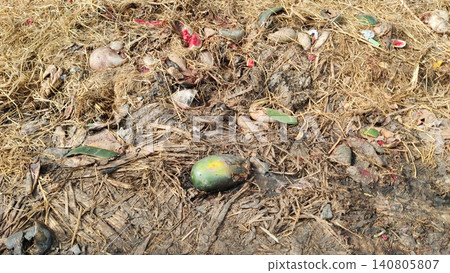 Spoiled watermelon on garbage pile near Karachi fruit market Spoiled watermelon on garbage pile near Karachi fruit market 140805807