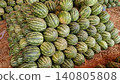 Striped green watermelons piled for sale in wholesale fruit market 140805808