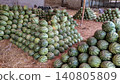 Striped green watermelons stacked in large piles for sale at Karachi wholesale fruit market during summer 140805809