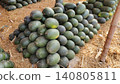 Dark green long watermelons piled on dry grass for sale 140805811