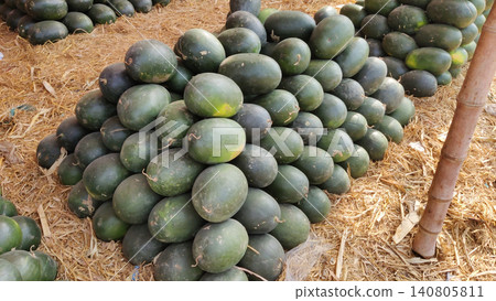 Dark green long watermelons piled on dry grass for sale Dark green long watermelons piled on dry grass for sale 140805811