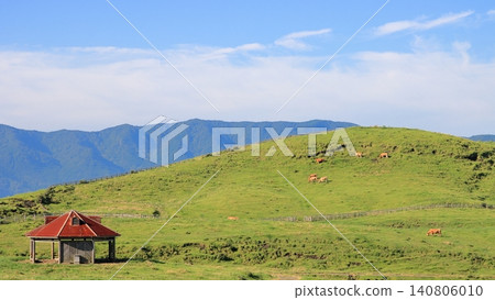 Pastureland in the highlands 140806010