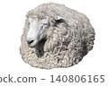 Cutout photo of a curled-up sheep - for use with a white background 140806165