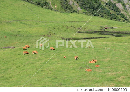 Summer farm Summer farm 140806303