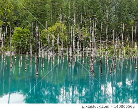 初夏時節,也就是六月,北海道美瑛的白金藍池呈現出神秘的鈷藍色池面,周圍環繞著茂盛的綠植。 初夏時節,也就是六月,北海道美瑛的白金藍池呈現出神秘的鈷藍色池面,周圍環繞著茂盛的綠植。 140806562