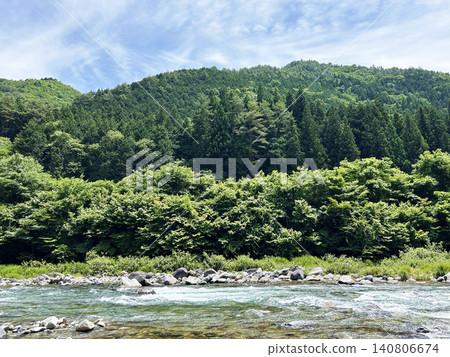 山間溪流環繞著新鮮的綠色植物 山間溪流環繞著新鮮的綠色植物 140806674