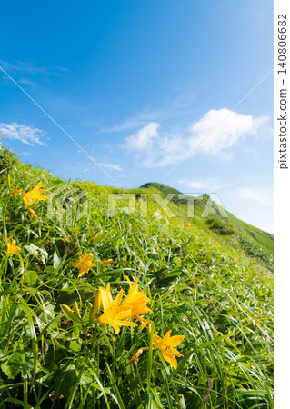 The lush green slopes stretching towards the summer blue sky, and the vibrant clusters of daylilies in full bloom. The lush green slopes stretching towards the summer blue sky, and the vibrant clusters of daylilies in full bloom. 140806682