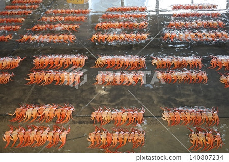 Red snow crab auction market [Imizu City, Toyama Prefecture] 140807234