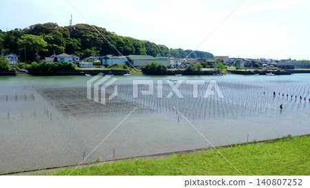海藻養殖業在鹹淡水交界地區蔓延開來。 海藻養殖業在鹹淡水交界地區蔓延開來。 140807252
