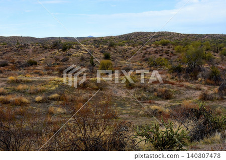 Salt River Recreation Area Arizona Salt River Recreation Area Arizona 140807478